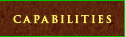 Capabilities