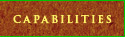 Capabilities