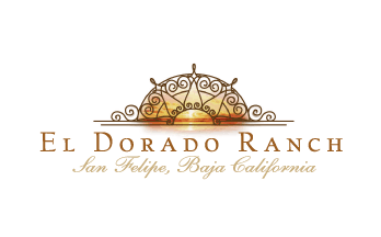 SFDC Logo