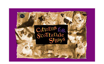 Scottsdale Strays Website Image